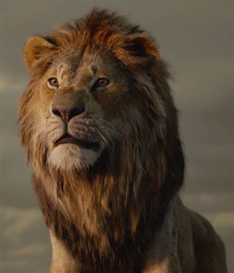 The Lion King Wiki .